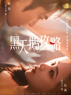 黑天鹅攻略（65集）精彩短剧天天看