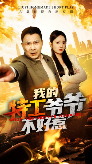 我的特工爷爷不好惹（68集）免费观看全集