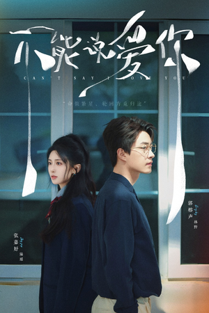 不能说爱你(64集) 不能说爱你(64集)看精彩短剧