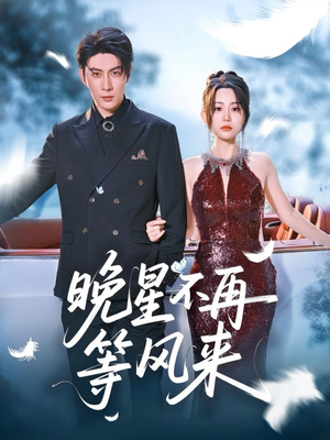 晚星不再等风来（65集）评价怎么样