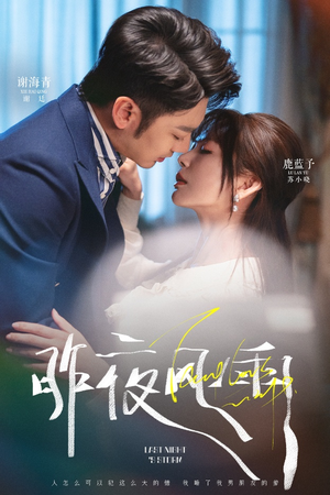 昨夜风雨（63集）热门短剧追到爽