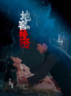 地窖的秘密（40集）好看的短剧