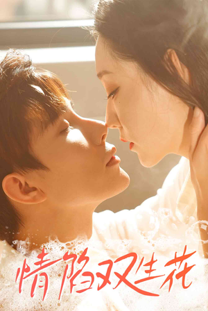 情陷双生花（30集）热门短剧看不停