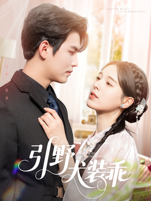 引野犬装乖(61集) 引野犬装乖(61集)精彩短剧热播