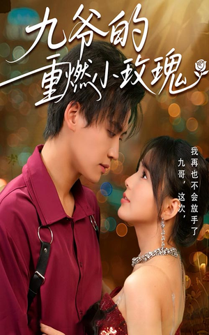 九爷的重燃小玫瑰（67集）女频短剧推荐