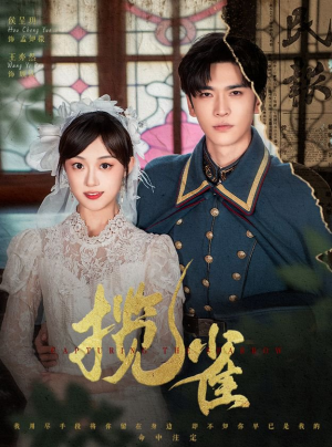 揽雀(61集) 揽雀(61集)精彩不断免费看