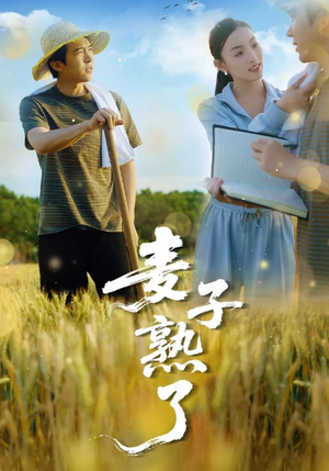 麦子熟了(52集) 麦子熟了(52集)免费看全集