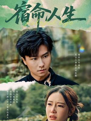 宿命人生（60集）口碑之选免费看