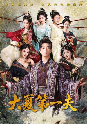 大夏第一夫(90集) 大夏第一夫(90集)女频短剧推荐