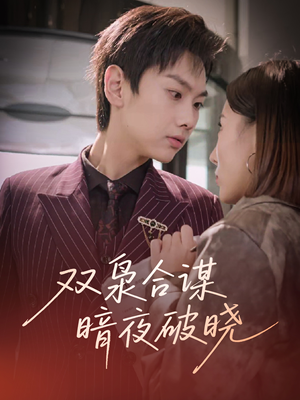 双枭合谋暗夜破晓（30集）在哪看