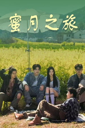 蜜月之旅(35集) 蜜月之旅(35集)火热短剧抢先看