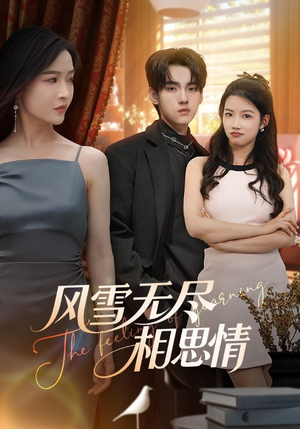 风雪无尽相思情(61集) 风雪无尽相思情(61集)全季一次看完