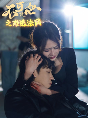 不可饶恕之难逃法网(20集) 不可饶恕之难逃法网(20集)好看吗