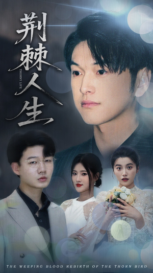 荆棘人生(74集) 荆棘人生(74集)80到100集