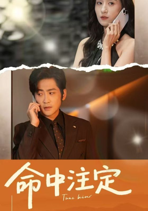 命中注定(33集) 命中注定(33集)免费短剧资源
