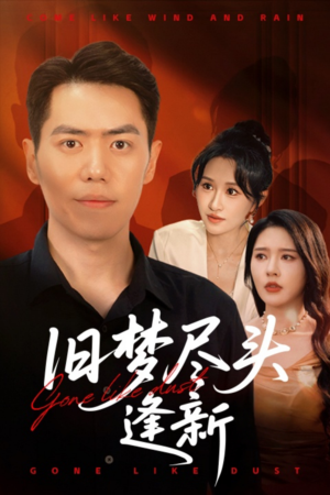 旧梦尽头逢新（46集）在哪看免费