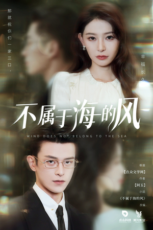 不属于海的风(40集) 不属于海的风(40集)短剧免费观看