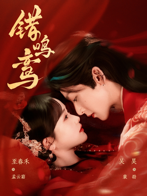 错鸣鸾（75集）短剧片段分享