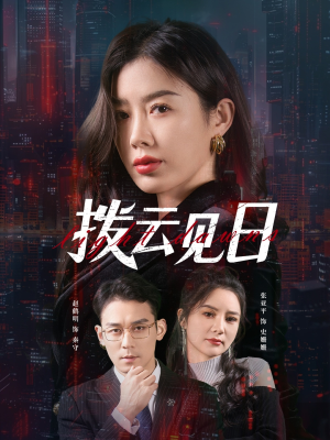 拨云见日(61集) 拨云见日(61集)评价怎么样