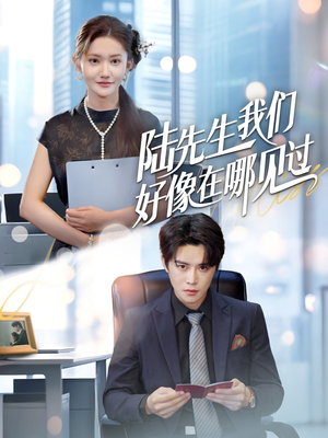 陆先生我们好像在哪见过(70集) 陆先生我们好像在哪见过(70集)看到大结局