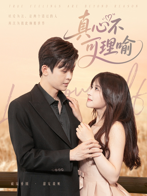 真心不可理喻（81集）最火短剧热播