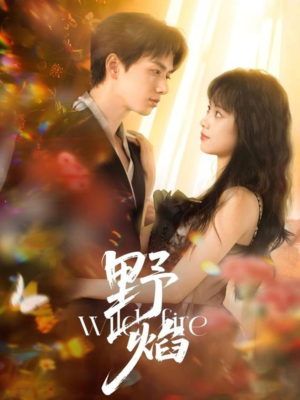 野焰(60集) 野焰(60集)第一季