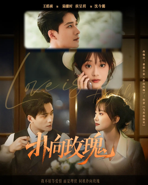 扑向玫瑰(77集) 扑向玫瑰(77集)热门短剧榜单