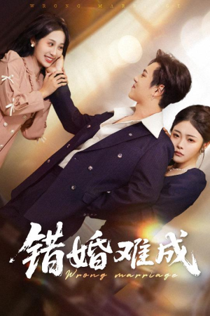 错婚难成(45集) 错婚难成(45集)不用花钱看全剧