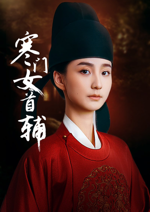 寒门女首辅（80集）热门短剧推广