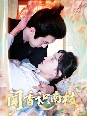 闻香识南枝（60集）番茄短剧看全集