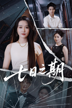 七日之期(90集) 七日之期(90集)免费观看完整版