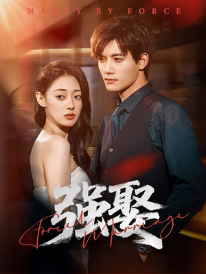 强娶(80集) 强娶(80集)一个短剧看全集