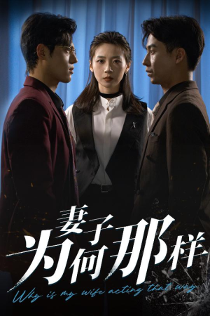 妻子为何那样（60集）短剧追不停