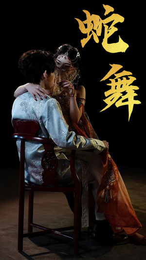 蛇舞(40集) 蛇舞(40集)看过的人都说好