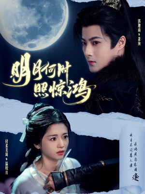 明月何时照惊鸿（80集）更新时间一览表