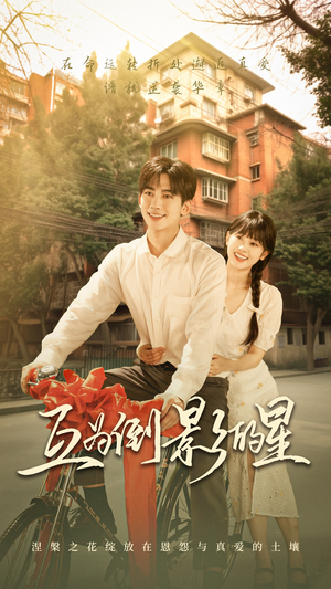 互为倒影的星(72集) 互为倒影的星(72集)在哪看