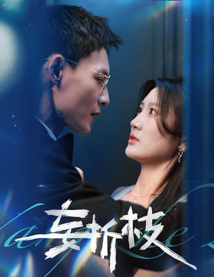 妄折枝(53集) 妄折枝(53集)在线免费观看