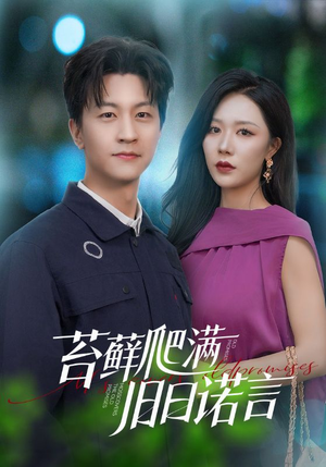 苔藓爬满旧日诺言（83集）好看的短剧电影