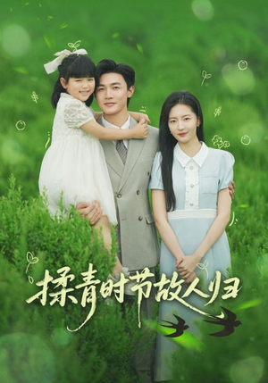 揉青时节故人归（60集）短剧越看越精彩