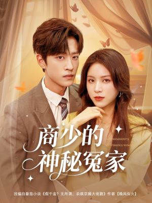 商少的神秘冤家（82集）在线播放