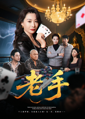 老手(36集) 老手(36集)热门了短剧