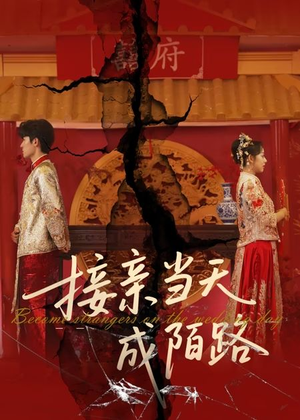接亲当天成陌路（50集）番茄免费短剧
