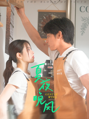 夏夜晚风（12集）追短剧看全集