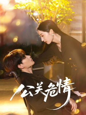 公关危情（60集）热播短剧推荐