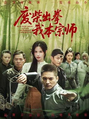 废柴出拳我本宗师(61集) 废柴出拳我本宗师(61集)免费观看全集