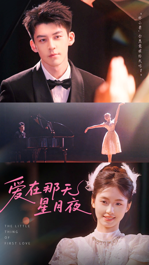 爱在那天星月夜（46集）演员表