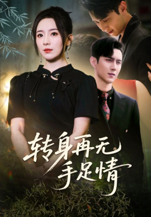 转身再无手足情（71集）热门短剧推荐