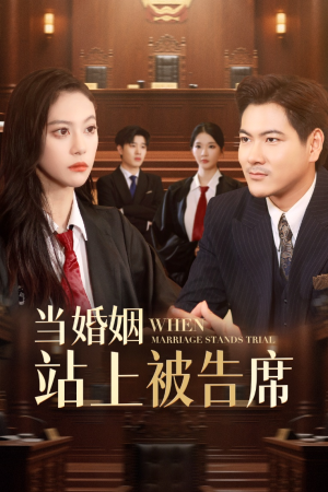 当婚姻站上被告席(30集) 当婚姻站上被告席(30集)免费短剧全集看