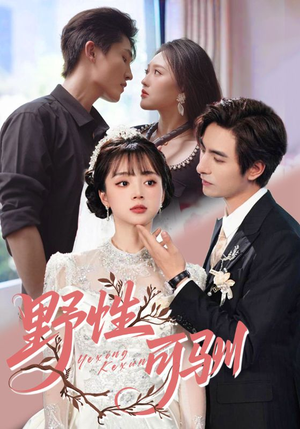 野性可驯（63集）甜宠短剧推荐