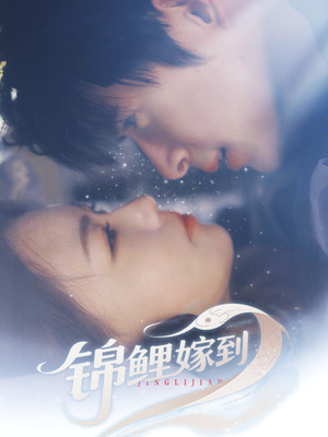 锦鲤嫁到（67集）精彩好看的短剧